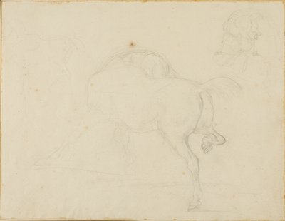 Studie van een paard dat zijn hoofd draait en zijn achterbeen optilt door Jean Louis André Théodore Géricault