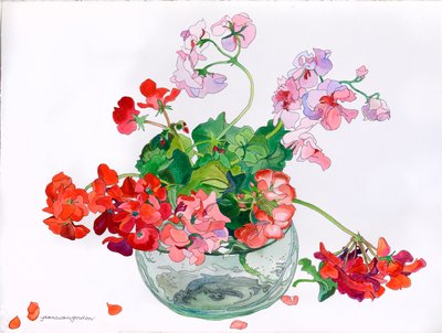 Geraniums op hun gemak in glazen kom (aquarel en inkt op papier) door Jean Swan Gordon