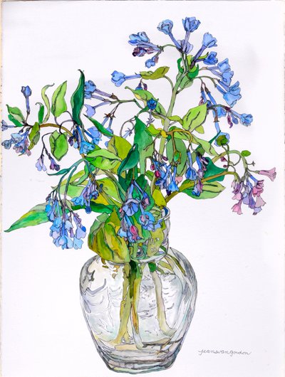 Virginia Blue Bells in Narrow Necked Vase, 2006 (aquarel en inkt op papier) door Jean Swan Gordon