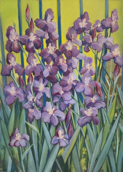 Paarse irissen, 2023 (pastel op papier) door Jeanne Maze