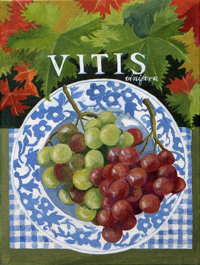 Vitus (druiven), 2014 (acryl op doek) door Jennifer Abbott