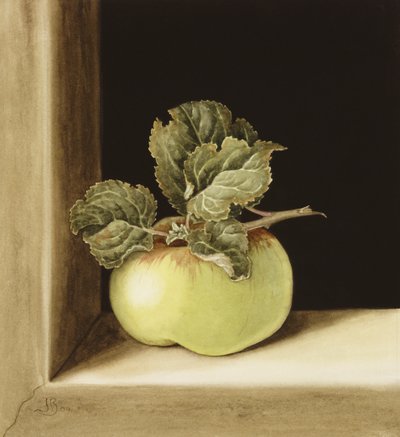 Appel door Jenny Barron