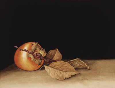 Kaki, 2004 door Jenny Barron