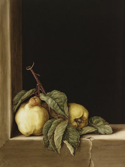 Kweeperen, 2005 door Jenny Barron