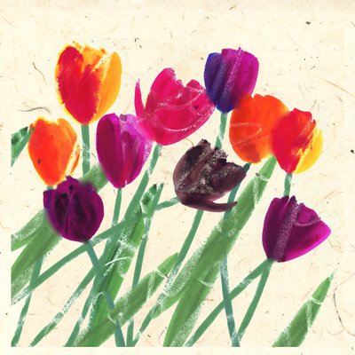 Hollandse schoonheden door Jenny Frean