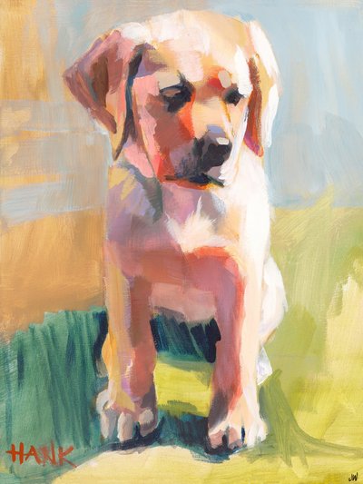 Hank door Jenny Westenhofer