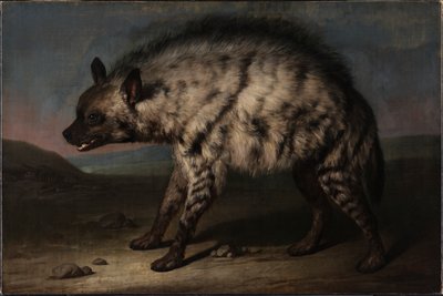De Hyena in de menagerie bij Frederiksberg Slot door Jens Juel