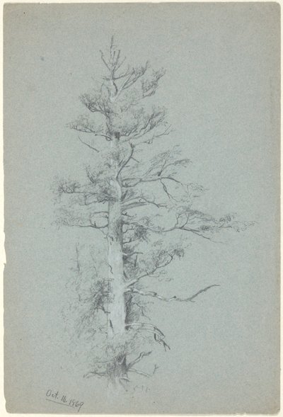 Boomstudie door Jervis McEntee