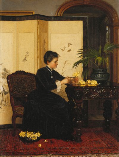 Dame Die Primula