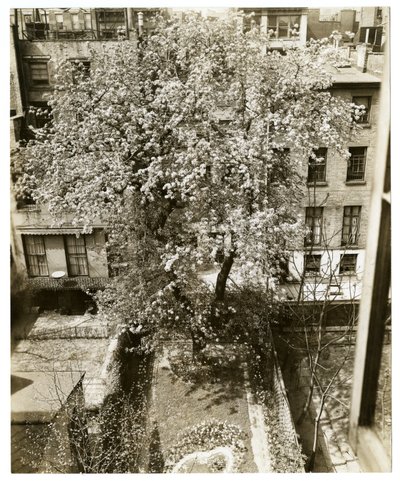 Mevrouw W H Wells 265 W 11th door Jessie Tarbox Beals