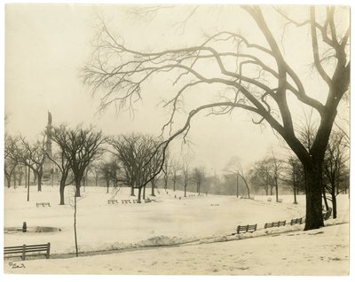 The Common, Boston, USA, ca. 1902-10 door Jessie Tarbox Beals
