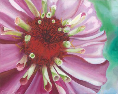 Levendige zinnia in bloei door Jillian Claire