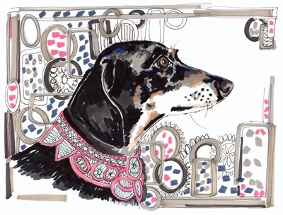 Lacey de teckel, 2013 door Jo Chambers