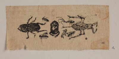 Insect door Joakim Frederik Skovgaard