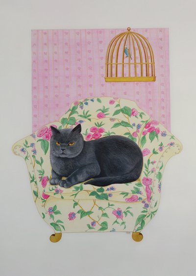 Britse Blauwe door Joan Freestone