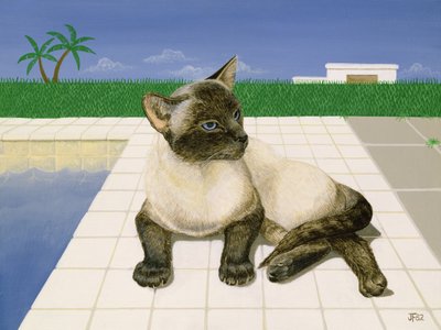 Siamese kat bij een zwembad door Joan Freestone