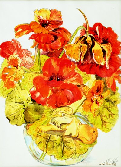 Oost-Indische kers, 2005 door Joan Thewsey