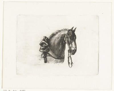 Paardenhoofd naar rechts door Joannes Bemme