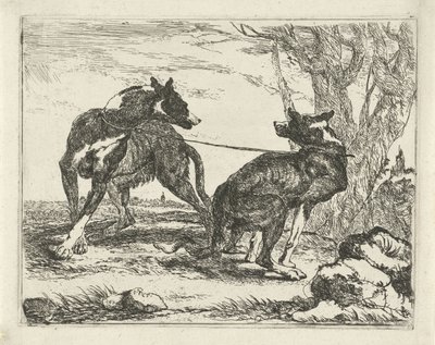 Twee honden door Joannes Fijt