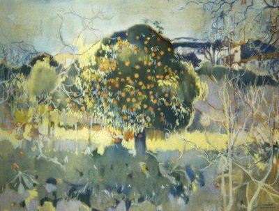 Landschap door Joaquim Mir i Trinxet