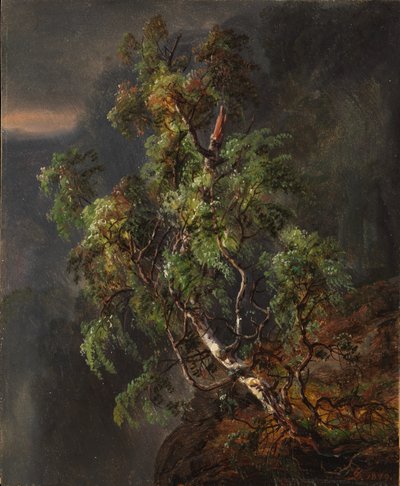 Berkenboom in een storm door Johan Christian Dahl
