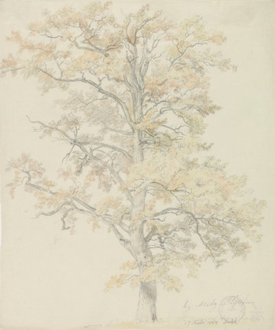 Eiken met herfstbladeren, Milicz door Johan Christian Dahl