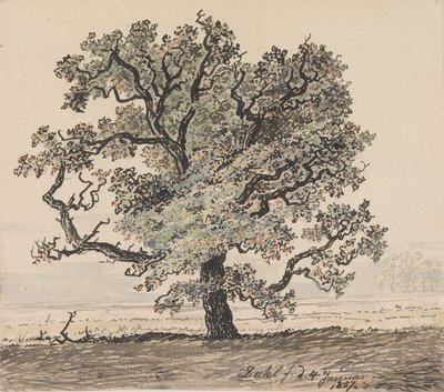  door Johan Christian Dahl
