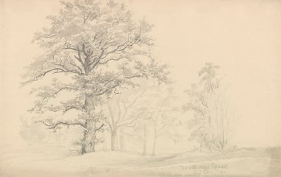  door Johan Christian Dahl