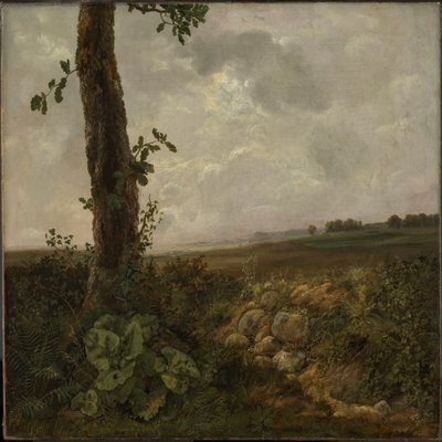  door Johan Christian Dahl