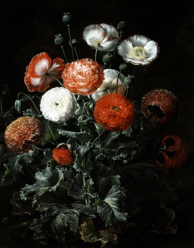  door Johan Laurents Jensen