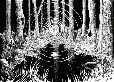 Mystieke bosgolven door Johan Liewendahl
