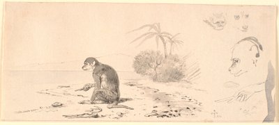 Apen. Rechts studies van apenhoofden enz. door Johan Thomas Lundbye