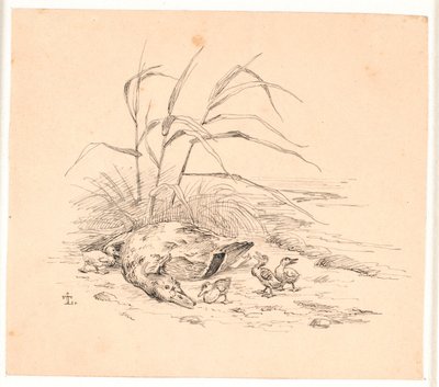 De gedode wilde eend. Illustratie voor Kaalunds "Fabler voor kinderen". Zie opmerking uit het archiefcatalogus. door Johan Thomas Lundbye