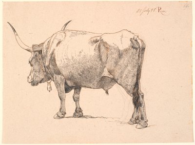 Romeinse stier met bel om de hals, schuin van achteren gezien door Johan Thomas Lundbye