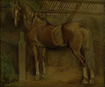 Zestienjarige hengst van het Knabstrup-ras door Johan Thomas Lundbye