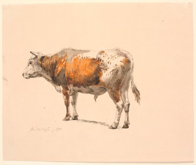 Staande Roodbonte Stier, naar Links Gekeken, Schuin van Achteren Gezien door Johan Thomas Lundbye