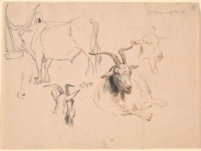 Studie van een os en twee studies van geitenkoppen en een van een liggende geit door Johan Thomas Lundbye