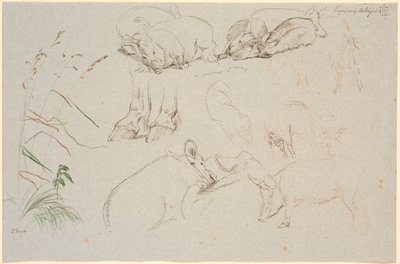 Studieblad van Vognserup. Verschillende studies van varkens. Een studie van een paar paardenhoeven. Een studie van een hondenkop en een studie van gras door Johan Thomas Lundbye