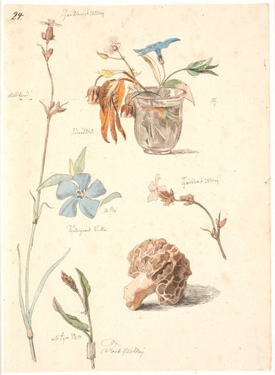 Studieblad met bloemen en planten door Johan Thomas Lundbye