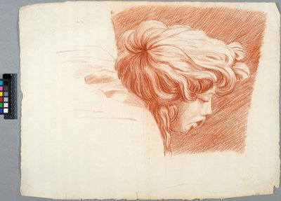  door Johan Tobias Sergel