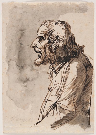  door Johan Tobias Sergel