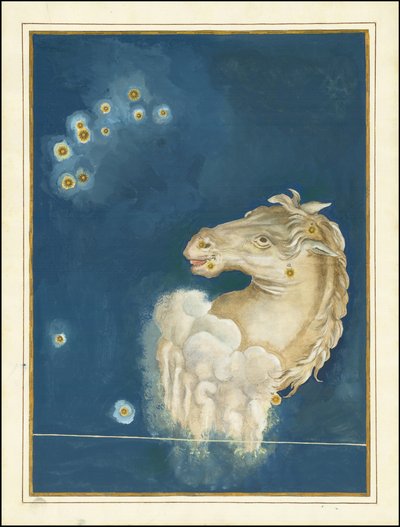 Equuleus - Johann Bayer door Johann Bayer