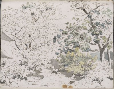 Bladerrijke bomen op rotsachtige grond, daarnaast een gebouw: Hergitz door Johann Christian Reinhart