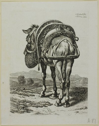 Voedende muilezel - Achter, uit Die Zweite Thierfolge door Johann Christian Reinhart