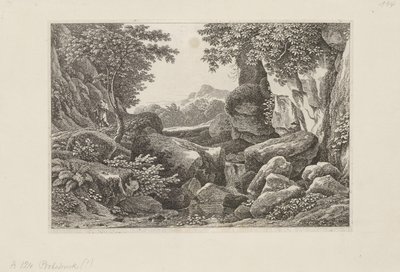  door Johann Christian Reinhart