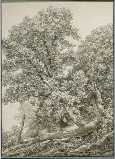  door Johann Christian Reinhart