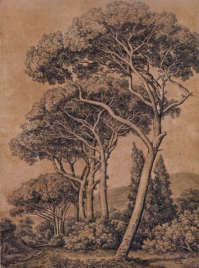 J C Reinhart parasoldennen 1791 door Johann Christian Reinhart