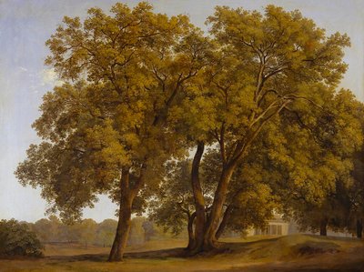  door Johann Christian Reinhart