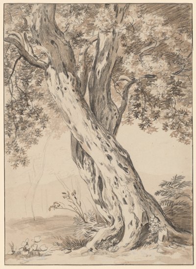 Twee Verstrengelde Eikenbomen door Johann Christian Reinhart