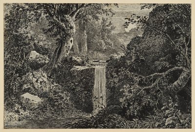 Waterval in het bos door Johann Christoph Erhard